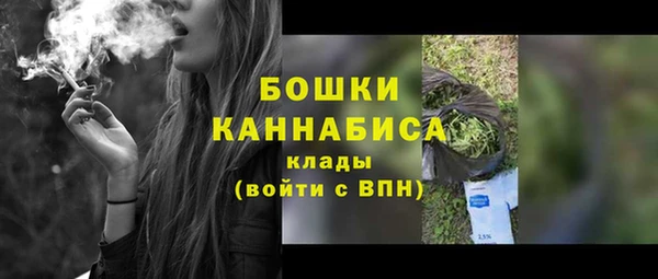 PSILOCYBIN Богородицк