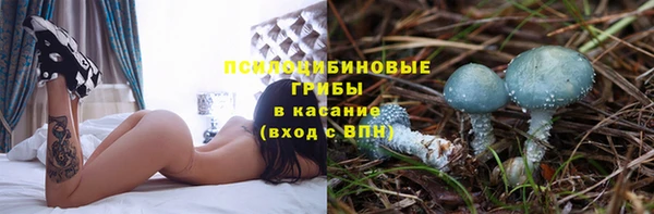 PSILOCYBIN Богородицк